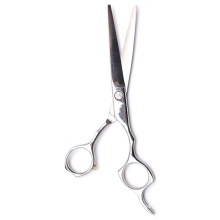 Professional Scissors Salon Stainless Steel Cutting Shear Hair Scissors